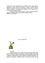 Prezentācija 'Marta Sansoni', 7.