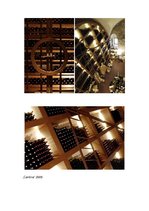 Prezentācija 'Marta Sansoni', 24.