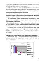 Referāts 'Mūsdienu jauniešu vērtības Jelgavas Valsts ģimnāzijas skolēnu skatījumā', 24.