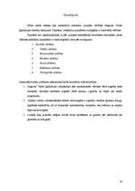 Referāts 'Mūsdienu jauniešu vērtības Jelgavas Valsts ģimnāzijas skolēnu skatījumā', 26.