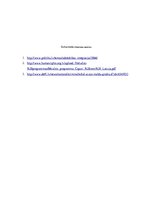 Eseja 'Čigānu tauta kā minoritāte', 5.