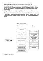 Konspekts 'Zemes dienesta arhīvs', 2.