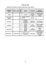 Biznesa plāns 'Atpūtas kompleksa "Ezermala" biznesa plāns', 14.