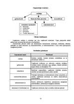 Biznesa plāns 'Atpūtas kompleksa "Ezermala" biznesa plāns', 15.