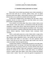 Referāts 'Budžeta deficīta iemesli un novēršanas ceļi', 10.