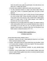 Referāts 'Budžeta deficīta iemesli un novēršanas ceļi', 13.