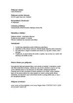 Konspekts 'Subkultūras grupa - panki', 2.