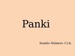 Prezentācija 'Panki', 1.