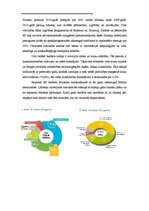 Eseja 'Eiropas Savienības budžets 2009. un 2010.gadam', 2.