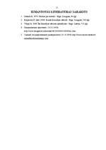 Referāts 'Renē Dekarts “Pārruna par metodi”', 15.