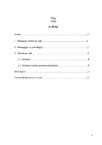 Referāts 'Mācīšanās stils - aktīvists', 2.