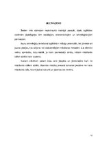 Referāts 'Mācīšanās stils - aktīvists', 12.