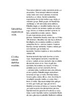 Konspekts 'Pirmatnējās sabiedrības raksturojošie komponenti', 3.