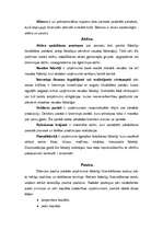 Konspekts 'Uzņēmuma finanšu pārskati un to analīze', 2.