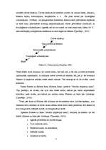 Referāts 'Stresa cēloņi un pārvarēšanas veidi pieaugušajiem', 19.