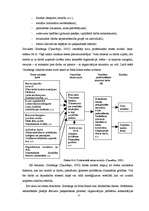 Referāts 'Stresa cēloņi un pārvarēšanas veidi pieaugušajiem', 23.