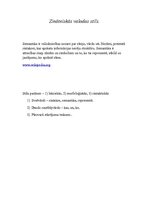 Paraugs 'Latviešu literārās valodas funkcionālie stili', 2.