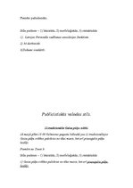 Paraugs 'Latviešu literārās valodas funkcionālie stili', 4.