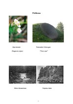 Referāts 'Staburags - dzelmē zudis svētums', 16.