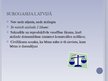Prezentācija 'Surogasija', 4.