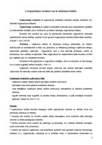 Referāts 'Organizācijas struktūra', 4.