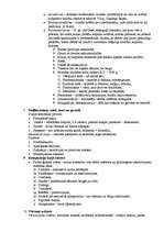 Konspekts 'Daiļdarbu analīze', 3.