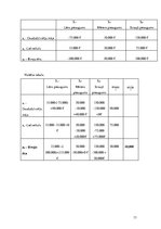 Referāts 'Lēmumu pieņemšana riska un nenoteiktības apstākļos', 13.