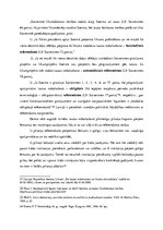 Referāts 'Vēlēšanas kā demokrātiskas valsts izpausmes forma', 12.