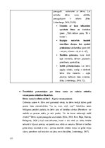Konspekts 'Bērna runas attīstības un valodas apguves izvērtējums (3 – 4,6 gadi)', 13.