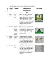 Konspekts 'Tūrisms un orientēšanās skolā - pasākums "Zvejnieku piedzīvojums"', 5.