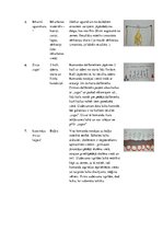 Konspekts 'Tūrisms un orientēšanās skolā - pasākums "Zvejnieku piedzīvojums"', 6.