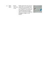 Konspekts 'Tūrisms un orientēšanās skolā - pasākums "Zvejnieku piedzīvojums"', 7.