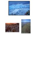 Konspekts 'Global Warming', 4.