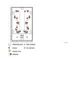 Konspekts 'Stafete sportā 9.klases eksāmenam', 3.