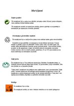 Konspekts 'Marķējumi uz iepakojumiem', 1.