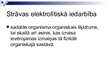 Prezentācija 'Elektriskās strāvas iedarbība uz cilvēka organismu', 6.