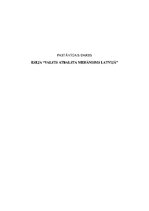 Eseja 'Valsts atbalsta mehānisms Latvijā', 1.