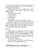 Referāts 'Latvijas brenda "Zilgme" salīdzinājums ar pasaules brendu "Fairy"', 2.