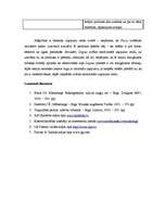 Referāts 'Latvijas brenda "Zilgme" salīdzinājums ar pasaules brendu "Fairy"', 7.