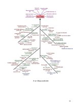 Referāts '"Tip top market" sūdzību analīze', 14.