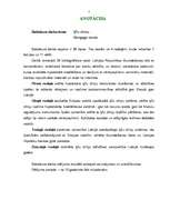 Diplomdarbs 'Ķīlu zīmes', 2.