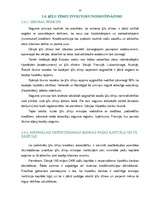 Diplomdarbs 'Ķīlu zīmes', 23.