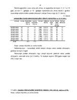 Diplomdarbs 'Ķīlu zīmes', 40.