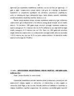 Diplomdarbs 'Ķīlu zīmes', 48.