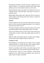 Konspekts 'Babilonieši: vēsture, kultūra, mitoloģija, sabiedrība un kultūras mantojums', 6.