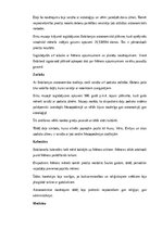 Konspekts 'Babilonieši: vēsture, kultūra, mitoloģija, sabiedrība un kultūras mantojums', 13.