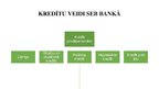 Referāts 'Izsniegto kredītu analīze AS "SEB banka" un prezentācija', 47.