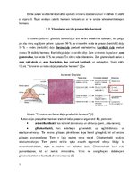 Referāts 'Kortizols un ar to saistītais adrenokortikotropais hormons', 5.