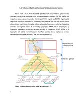 Referāts 'Kortizols un ar to saistītais adrenokortikotropais hormons', 7.