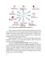 Referāts 'Kortizols un ar to saistītais adrenokortikotropais hormons', 12.